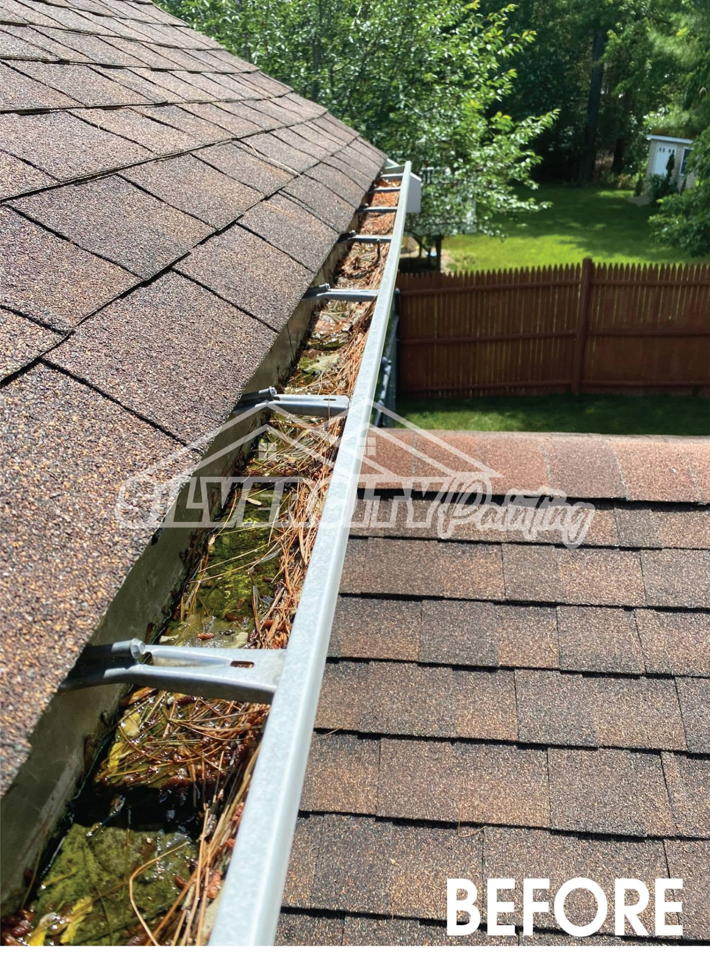 Before gutter cleaning — gutter clogged with pine needles, leaves and standing water on a Taunton, MA home